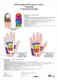 2 Poster di Riflessologia della Mano — Poster