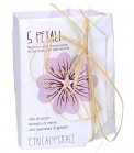 5 Petali - Bagnodoccia Solido per Pelli Secche