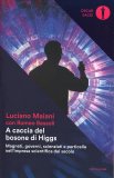 A Caccia del Bosone di Higgs — Libro
