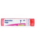 Aesculus Hippocastanum 7CH Granuli Boiron