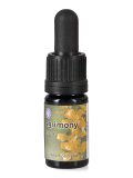 Agrimony - Soluzione Madre