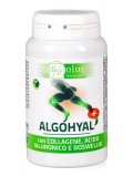 Algohyal+ Capsule