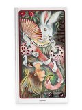 Alice nel Paese delle Meraviglie — Libro