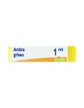 Ambra Grisea MK Globuli Monodose Boiron