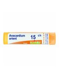 Anacardium Orientale 15CH Granuli Boiron