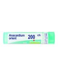 Anacardium Orientale 200CH Granuli Boiron