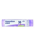 Anacardium Orientale 30CH Granuli Boiron