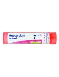 Anacardium Orientale 7CH Granuli Boiron