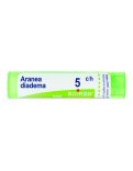 Aranea Diadema 5CH Granuli Boiron