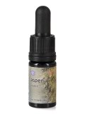 Aspen - Soluzione Madre