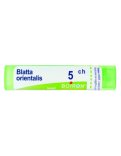 Blatta Orientalis Boiron 5CH Granuli