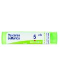 Calcarea Sulfurica Boiron 5CH Granuli