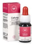 Calluna - Basegemmo