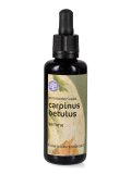 Carpinus Betulus - Gemmoderivato Floripotenziato - Gemme