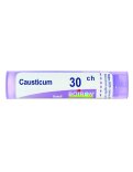 Causticum Boiron 30CH Granuli