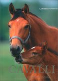 Cavalli - Razze, Origini e Curiosità — Libro