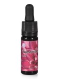 Chamomille - Fiori Californiani - Dose