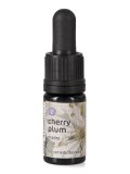 Cherry Plum - Soluzione Madre