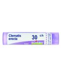 Clematis Erecta Boiron 30CH Granuli