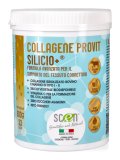 Collagene Provit Silicio+®