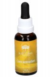 Concentration - Essenze Floreali Australiane