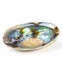 Conchiglia Abalone Arcobaleno- Haliotis Iris