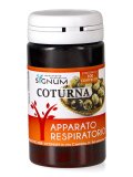 Coturna