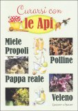 Curarsi con le Api — Libro