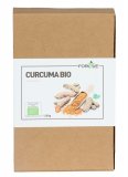 Curcuma Bio in Polvere