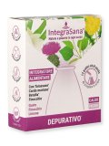 Depurativo - Stick Packs