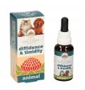 Diffidence & Timidity Animal