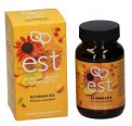 Echinacea