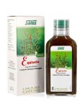 Equiseto - Estratto di Pianta Fresca
