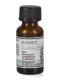 Eucalipto - Olio Essenziale Bio