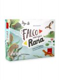 Falco Mangia Rana