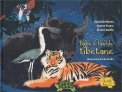 Fiabe e Favole Tibetane — Libro