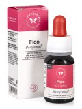 Fico - Basegemmo