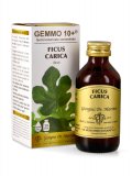 Ficus Carica Gemmoderivato Concentrato - Gemmo 10+ ®