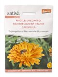 Semi di Fiore Annuale Calendula