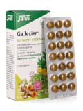 Gallexier - Integratore a base di Carciofo e Tarassaco