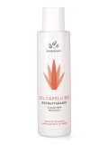 Gel Capelli Bio Ristrutturante in Aloe Vera Biologica