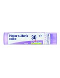 Hepar Sulfuris Calcareum 30CH Granuli Boiron