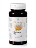 Hericium Up