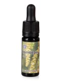 Hornbeam - Dose