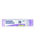 Hydrastis Canadiensis 30CH Granuli Boiron