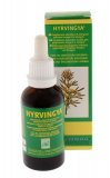 Hyrvingya