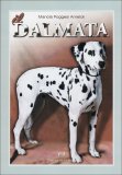 Il Dalmata  — Libro