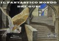 Il Fantastico Mondo dei Gufi — Libro