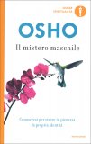 Il Mistero Maschile — Libro
