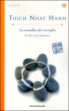 La Scintilla del Risveglio — Libro
